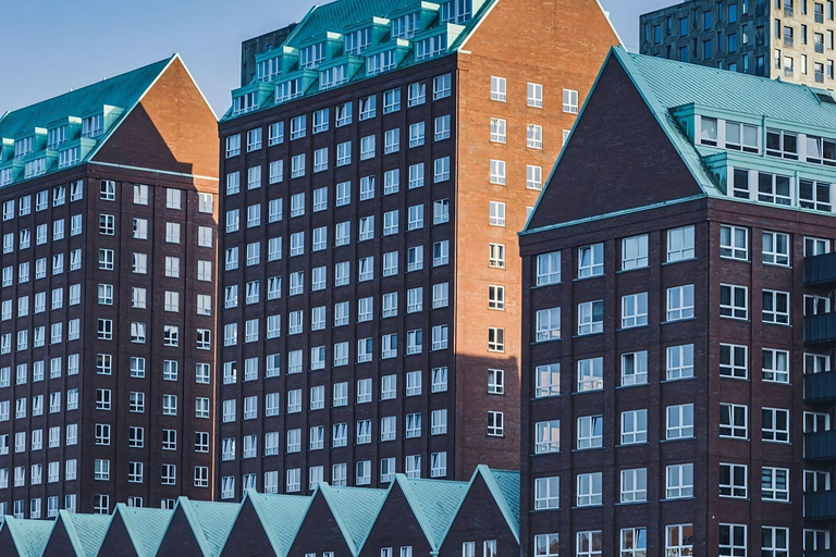 Amsterdam: Hague, Delft, and Rotterdam Day Trip