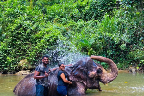 Kandy Day Trip: Ambuluwawa, Elephants & Lunch All Inclusive Pickup from Colombo /Negombo