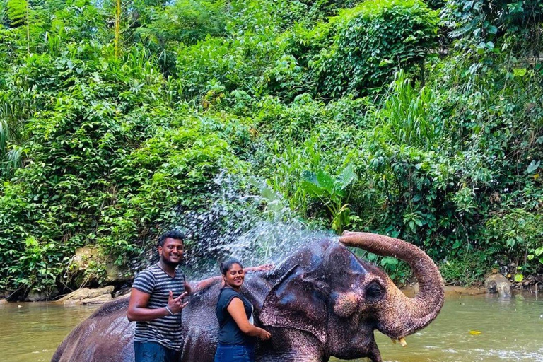 Kandy Day Trip: Ambuluwawa, Elephants & Lunch All Inclusive Pickup from Colombo /Negombo