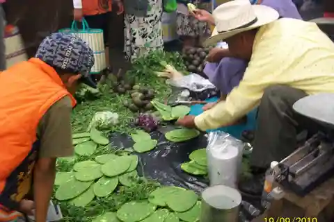 Puebla: Tour culinario de 5 horas con degustaciones