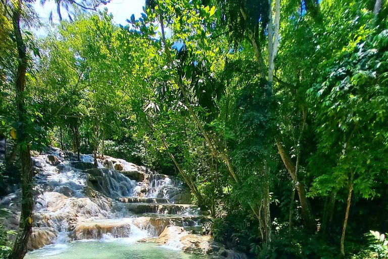 Visite privée de la rivière Dunns et du trou bleu au départ de Montego Bay