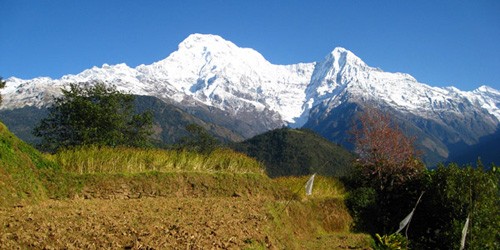 Visit Annapurna - 4 Days Poon hill trek from Pokhara. in Manang
