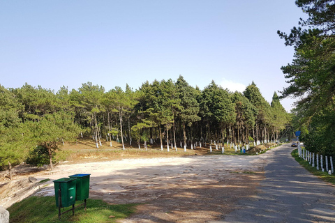 Trilhas Verdes de Shillong: Experiência de caminhada guiada com guia localTrilhas verdes de Shillong: experiência de trekking guiada com guia local