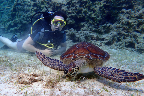 Paralimni, Protaras: Scuba Diving for Beginners! Best place