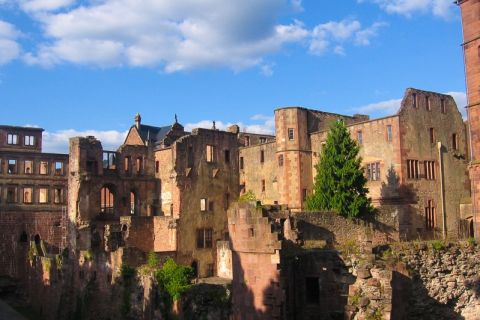 Tour del castello di Heidelberg: residenza degli elettori