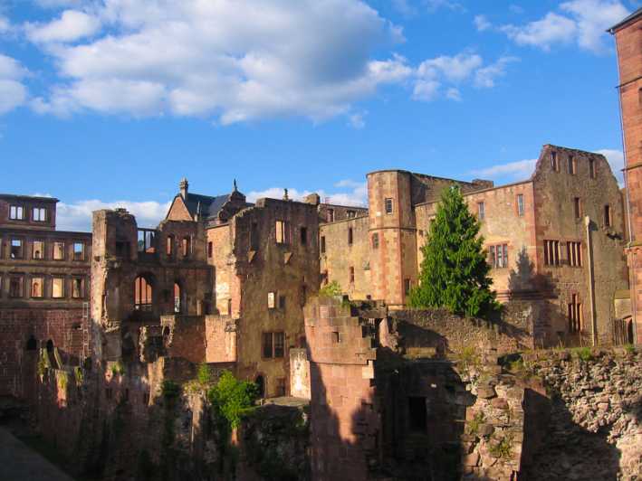 Tour del castello di Heidelberg: residenza degli elettori