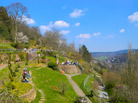 Heidelberger Schlossrundfahrt, Residenz der Kurfürsten - Hizvo