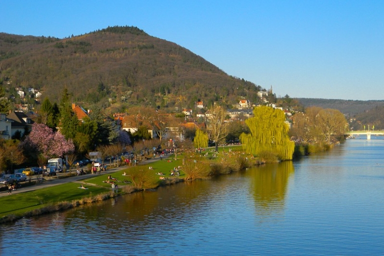 Visite du château d'Heidelberg: résidence des électeursVisite du château de Heidelberg - Langue étrangère