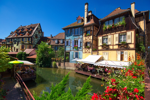 Från Strasbourg: Halvdagstur med vinprovning i AlsaceVinresa i Alsace på en halvdag från Strasbourg