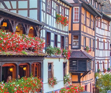Da Strasburgo: Tour di un giorno in Alsazia