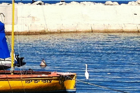 Tel Aviv: Private Tour of Tel Aviv and Jaffa