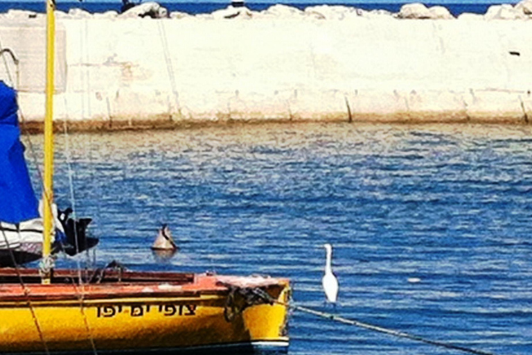 Tel Aviv: Private Tour of Tel Aviv and Jaffa