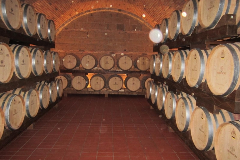 Siena en San Gimignano Day Tour & Wine Tasting van Romeprivate Tour