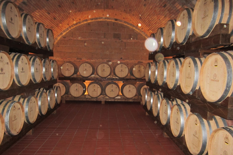 Siena y San Gimignano Tour de un día y catas de vino desde RomaInformación pública