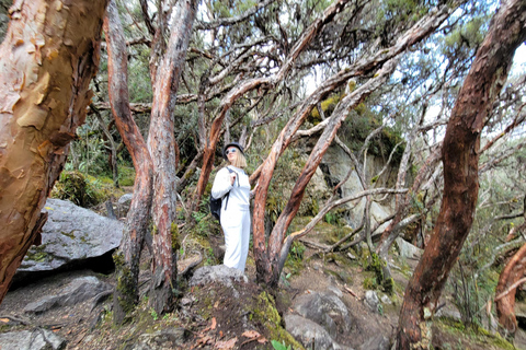 Cajas nationalpark halvdagsutflyktDelad tur