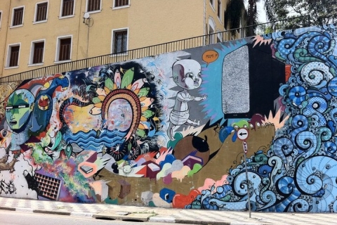 São Paulo: Street-Art-TourSão Paulo: Street-Art-Privattour mit Abholung & Rücktransfer