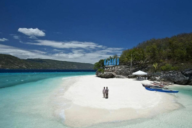 Cebú: tiburones ballena, banco de arena de Sumilon y cascadas de InambakanCebú: tiburón ballena, banco de arena de Sumilon y cataratas de Inambakan
