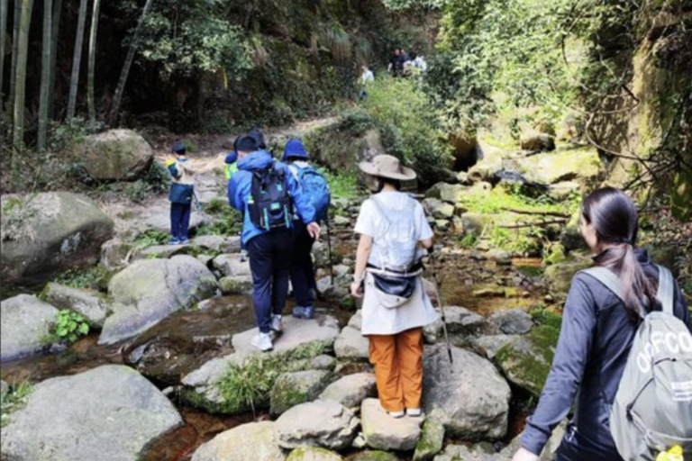 Shanghai: Moganshan Bamboo Hike with 1920s Villas private tour option