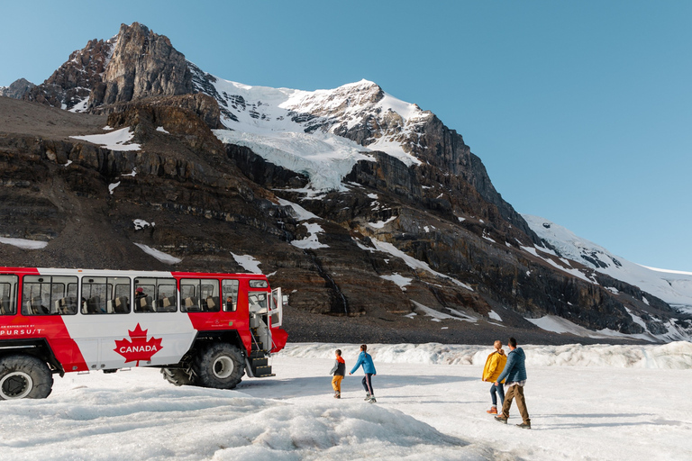 Icefield Glacier & Skywalk Full-Day Tour