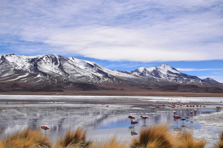 From San Pedro de Atacama: 3-Day Uyuni Salt Flats Tour