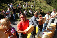 Interlaken y Jungfrau, recorrido por personalización con guía local - Housity