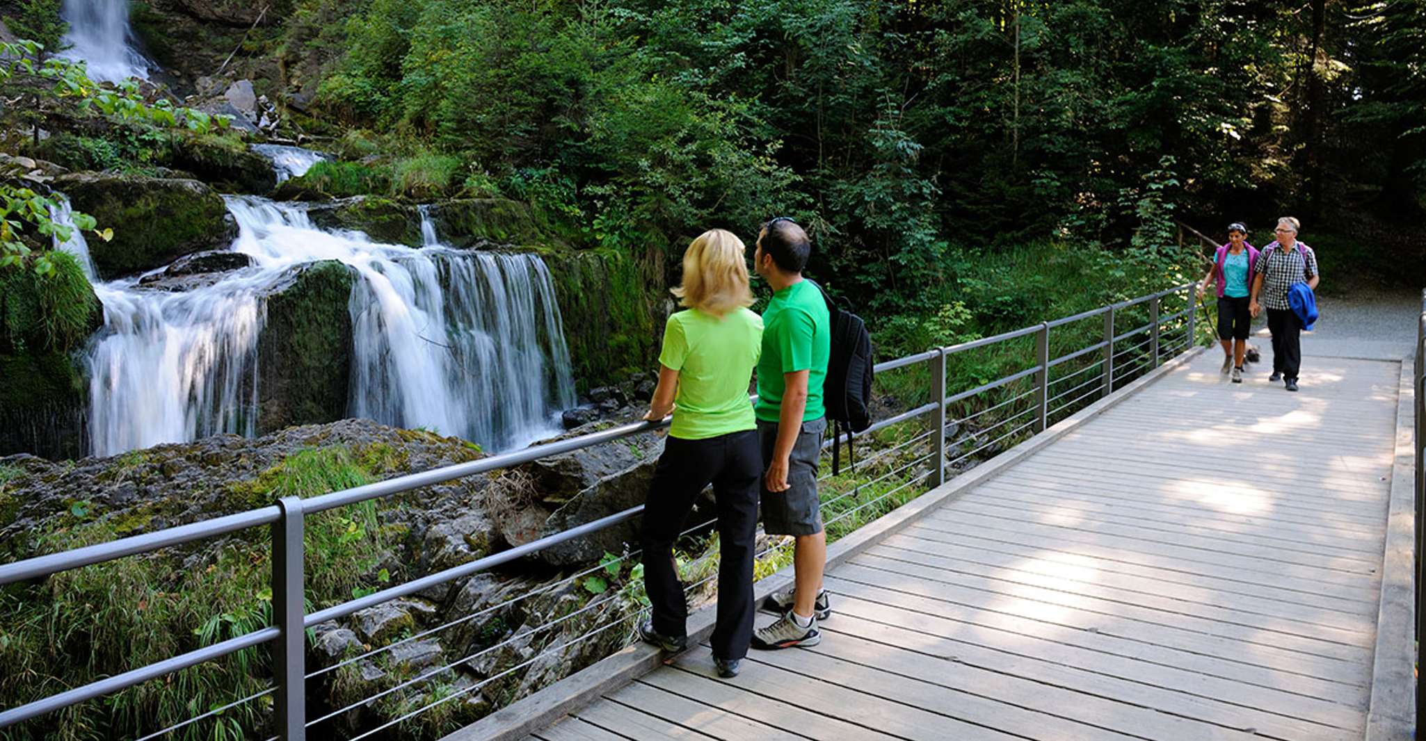 Interlaken & Jungfrau, Custom-Tailored Tour with Local Guide - Housity