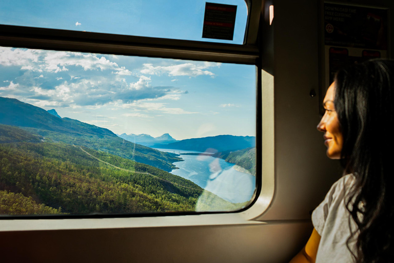 From Narvik: Arctic Train - Ofoten Line