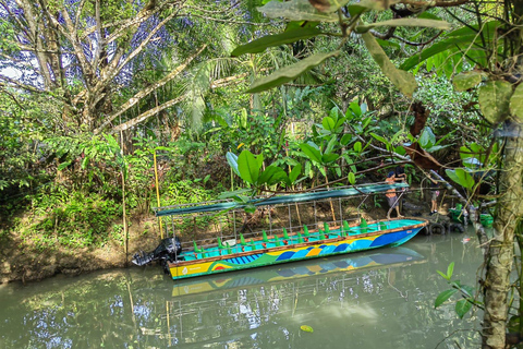 مانويل أنطونيو: جولة بالقارب بين أشجار المانغروف لمشاهدة الحيوانات