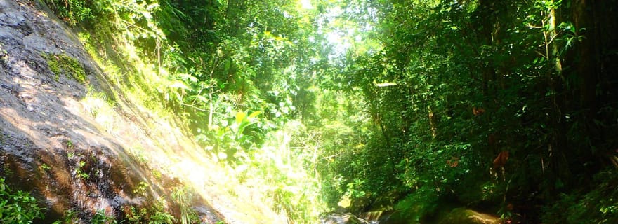 Guadeloupe : Canyoning Ravine Chaude