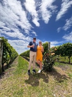 Montevideo, Tannat Wine Experience in Canelones - Hizvo