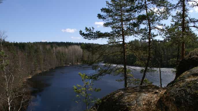nuuksio national park halfday trip from helsinki