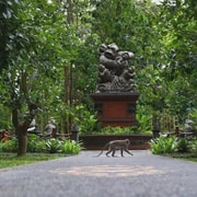 Ubud Culture, Sacred Temples & Monkey River Tour