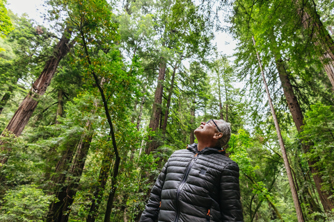 Stadsrondleiding San Francisco + Muir Woods en SausalitoSan Francisco Grand City Tour + Muir Woods en Sausalito