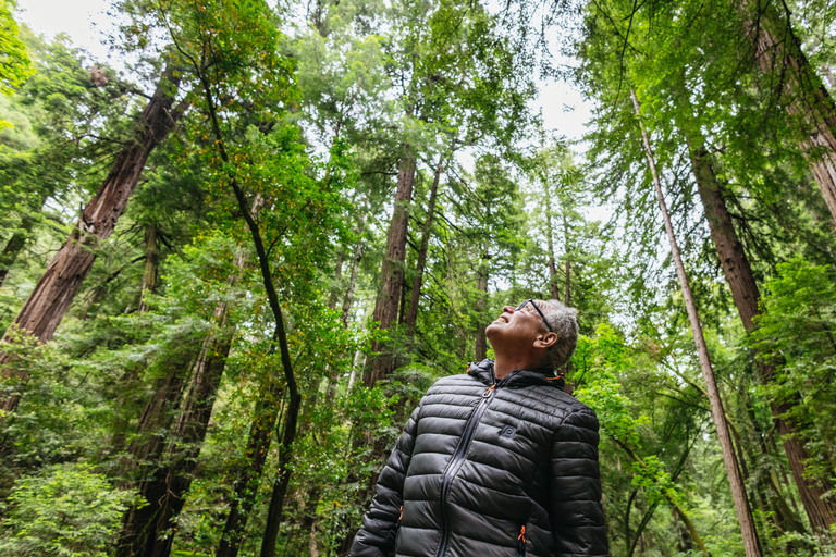 Stadsrondleiding San Francisco + Muir Woods en SausalitoSan Francisco Grand City Tour + Muir Woods en Sausalito