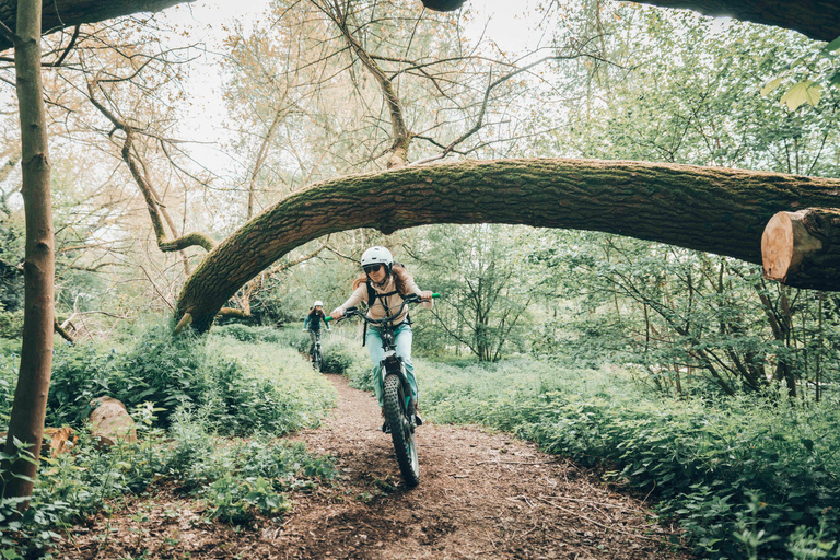 Ghent: Green Snake E-Step Tour with Local Guide