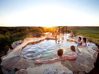 Mornington Peninsula Tour: wildlife, wine, art & hot springs