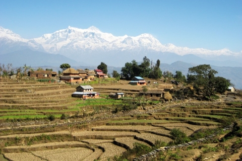 3 Tage Dhampus Trek von Kathmandu aus