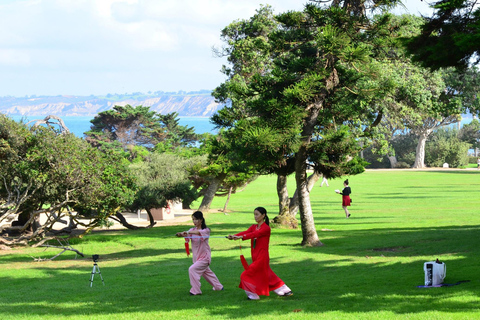 A Seaside Stroll: La Jolla's Hidden Treasures Walking Tour