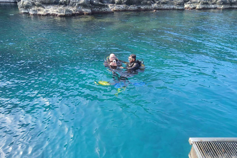 Alanya Scuba Diving Experience with Lunch & Hotel Transfer Alanya:DIVING WITHOUT TRASNFER