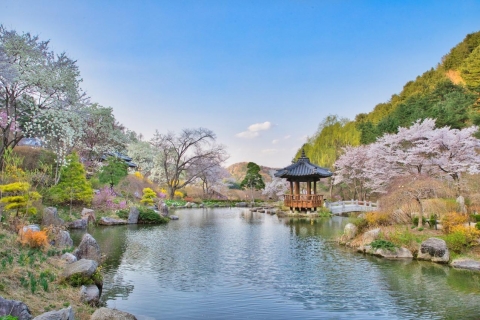 Depuis Séoul : Namiseom, Jardin du matin calme et vélorailUniversité de Hongik Namiseom et Jardin et vélorail.
