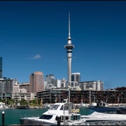 Auckland: Half-Day City Highlights Tour with Pickup Auckland: Half-Day City Highlights Tour with Pickup