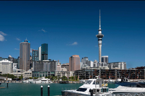 Auckland: Half-Day City Highlights Tour with Pickup