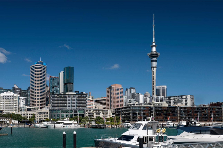 Auckland: Half-Day City Highlights Tour with Pickup