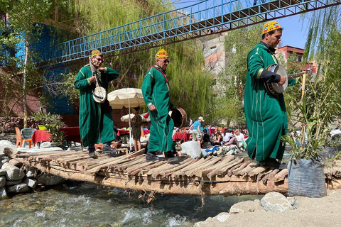 Marrakech: Dagtrip Ourika Vallei en Setti Fatma Waterval