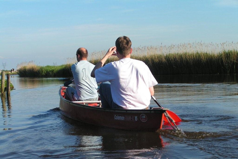 Viagem de canoa guiada de 5 horas em Amsterdã nos pântanos