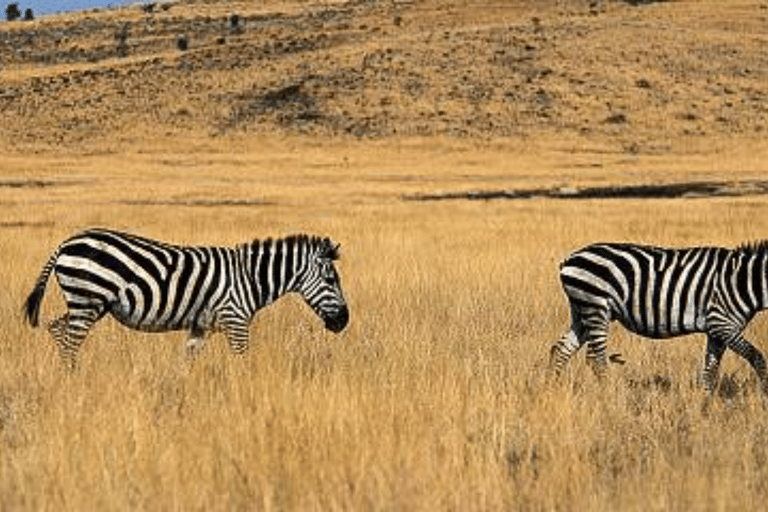 Addis Ababa: 3 Days Awash National park Safari Tour