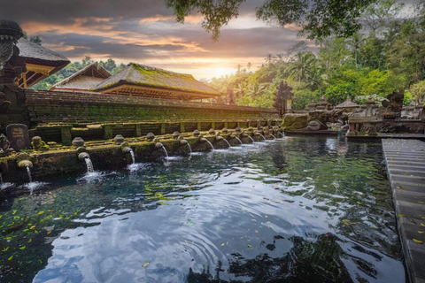 Ubud: Monkey Forest, Rice Terrace, Waterfall Private Tour Private Tour Without Entry Tickets