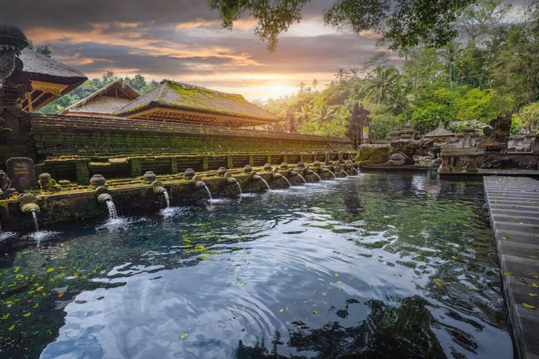 Ubud: Monkey Forest, Rice Terrace, Waterfall Private Tour Private Tour Without Entry Tickets