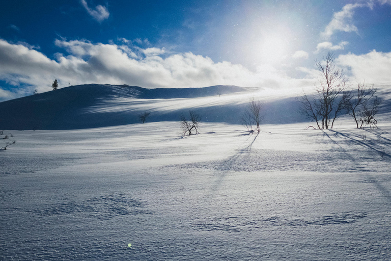 Saariselkä: CAMINHADA GUIADA COM RAQUETES DE NEVE NA FLORESTASaariselkä: CAMINHADA GUIADA NA FLORESTA COM RAQUETES DE NEVE