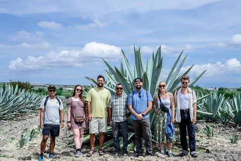 Oaxaca: Mezcal Distillery Tour mit Verkostungen